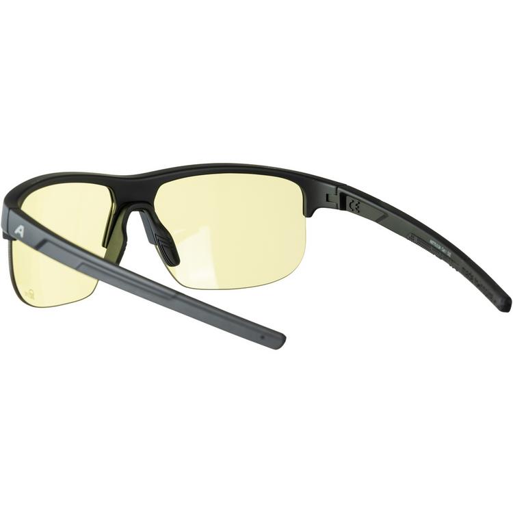 ALPINA ALPINA EAGLE Brille - black matt-yellow - 0 | SportScheck
