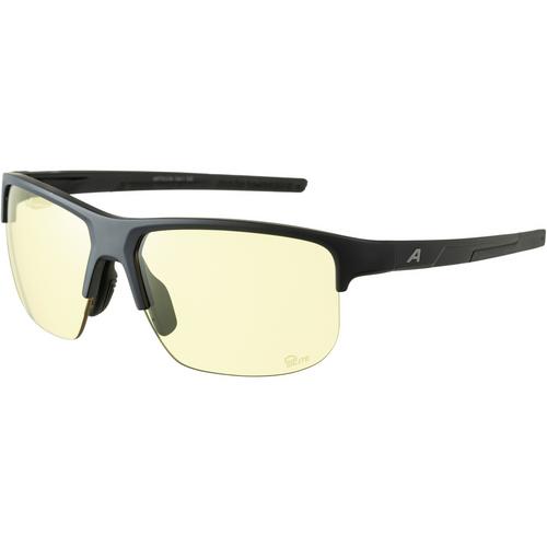ALPINA EAGLE Brille
