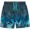Mistral Badehose Herren - plame