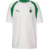 PUMA BMG Training Trikot Herren - puma white-archive green