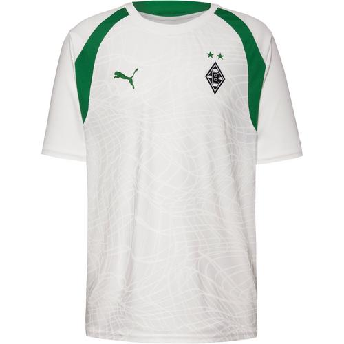 PUMA BMG Training Trikot Herren