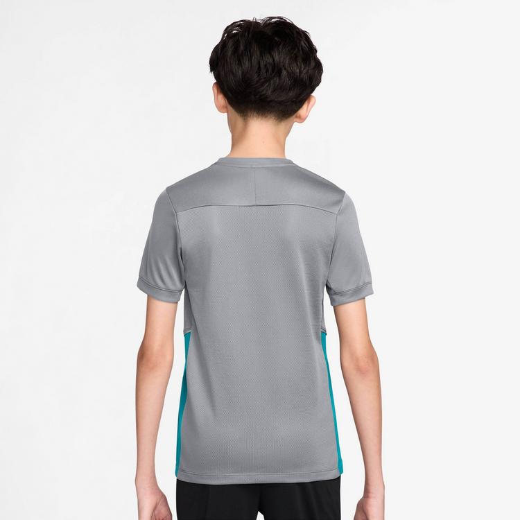 Nike Nike Academy 25 Funktionsshirt Kinder - wolf grey-wolf grey-energy-white - 1 | SportScheck
