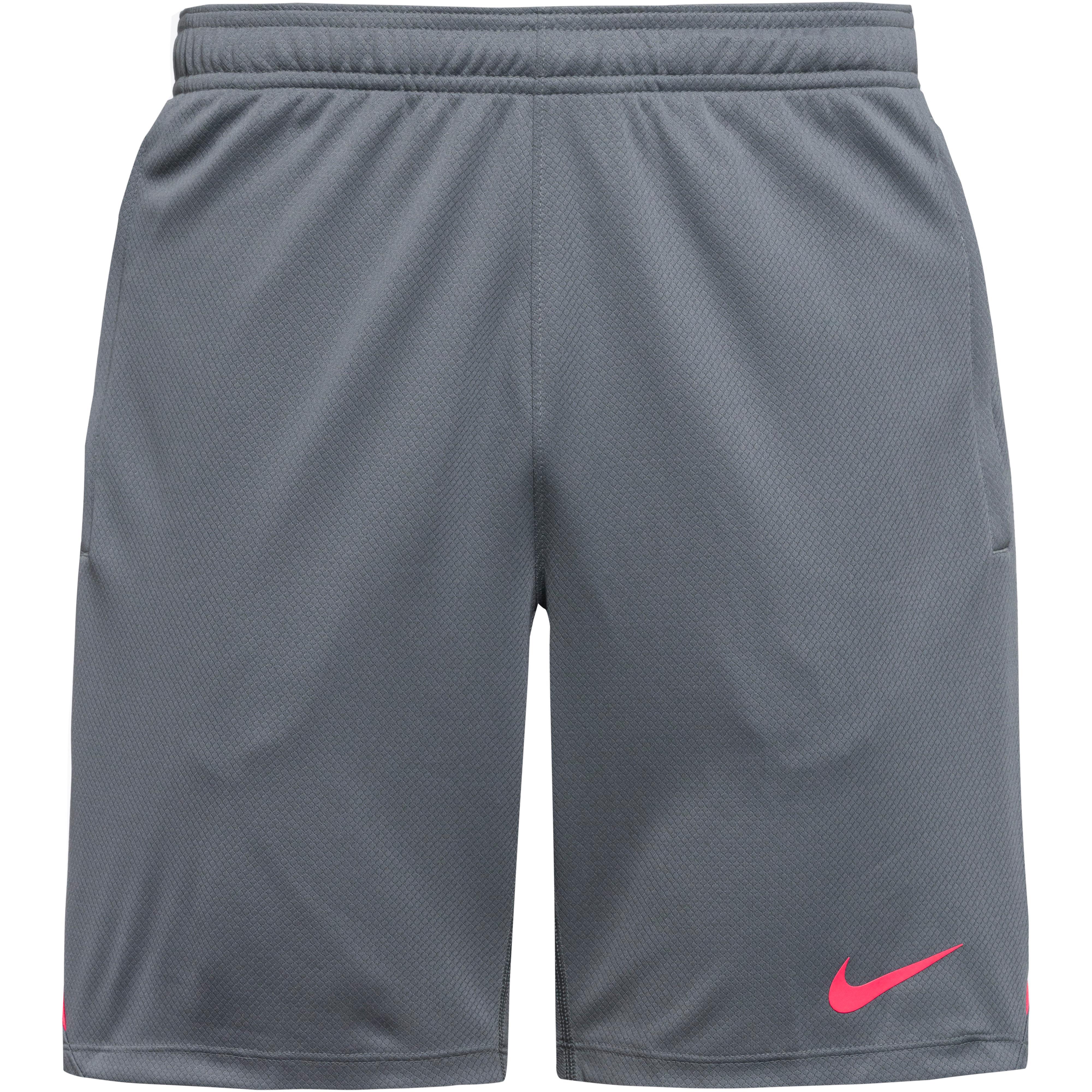 Nike Fußballshorts Dri-FIT Mesh-Einsätze Polyester Grau
