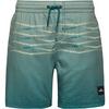 O'NEILL ONEILL FIRST SWIMSHORTS Badehose Jungen - boys green heritage flip flop