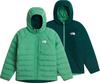 The North Face REVERSIBLE PERRITO Wendejacke Jungen - dimmed algae