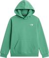 The North Face EVOLUTION SIMPLE DOME Hoodie Kinder - dimmed algae