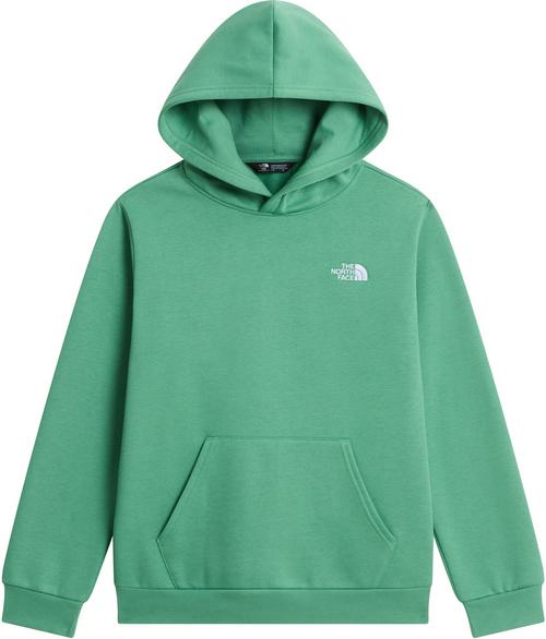 The North Face EVOLUTION SIMPLE DOME Hoodie Kinder