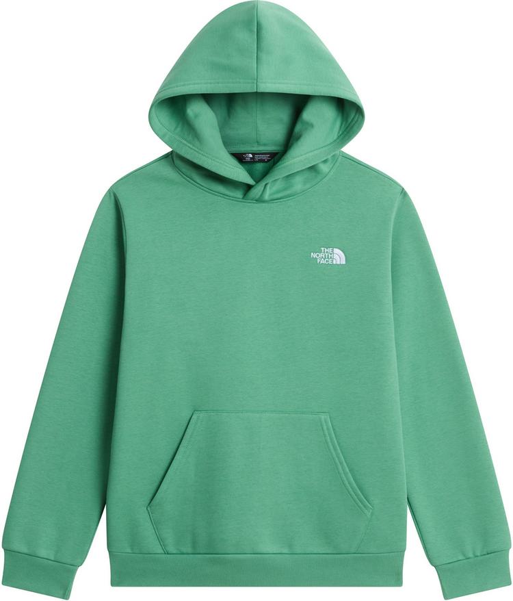 The North Face The North Face EVOLUTION SIMPLE DOME Hoodie Kinder - dimmed algae - 0 | SportScheck