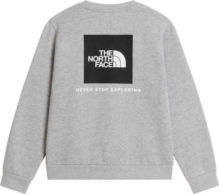 The North Face The North Face EVOLUTION BOX NSE Sweatshirt Kinder - tnf pale grey heather - 0 | SportScheck