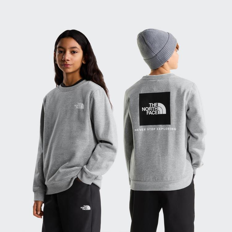 The North Face The North Face EVOLUTION BOX NSE Sweatshirt Kinder - tnf pale grey heather - 0 | SportScheck