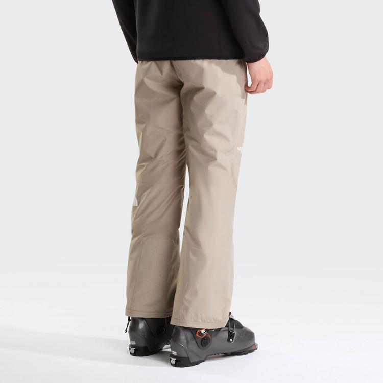 The North Face The North Face DESCENDIT Skihose Herren - stone slab - 1 | SportScheck