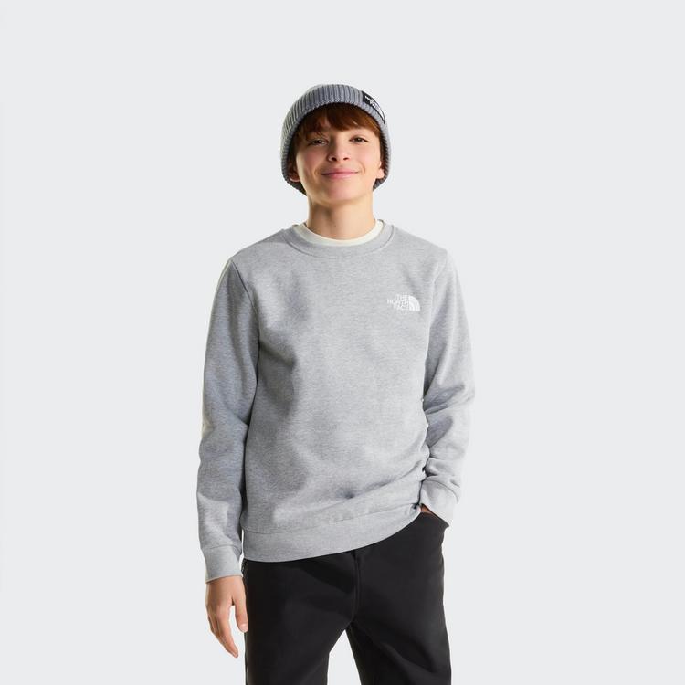 The North Face The North Face EVOLUTION BOX NSE Sweatshirt Kinder - tnf pale grey heather - 1 | SportScheck