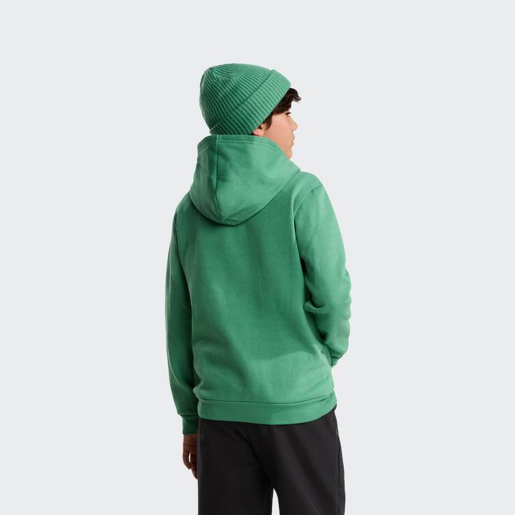 The North Face The North Face EVOLUTION SIMPLE DOME Hoodie Kinder - dimmed algae - 1 | SportScheck