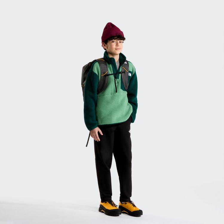 The North Face The North Face YUMIORI Fleecejacke Kinder - dimmed algae-hunter gre - 2 | SportScheck
