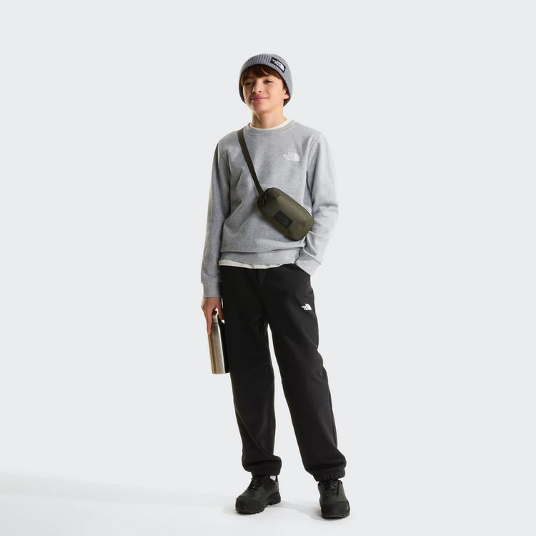 The North Face The North Face EVOLUTION BOX NSE Sweatshirt Kinder - tnf pale grey heather - 2 | SportScheck