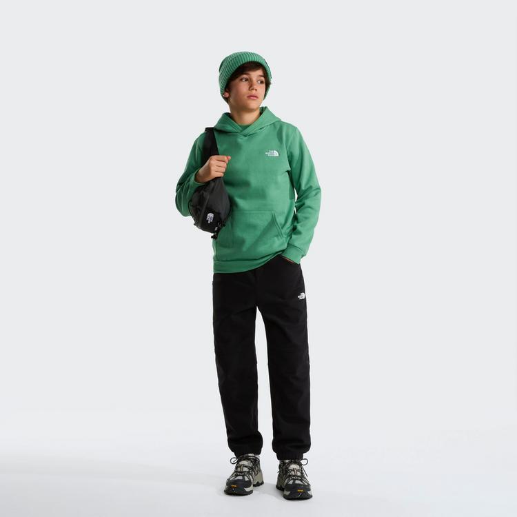 The North Face The North Face EVOLUTION SIMPLE DOME Hoodie Kinder - dimmed algae - 2 | SportScheck