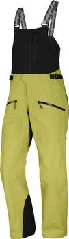 Salomon ABSOLUTE 3L Skihose Herren - cardamon seed