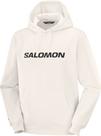Salomon Hoodie Herren - whisper white