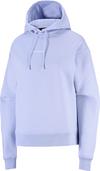 Salomon Hoodie Herren - brunnera blue