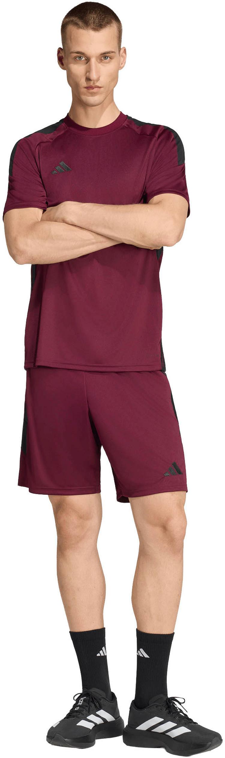 adidas adidas TIRO Fu&szlig;ballshorts Herren - maroon-black-black - 3 | SportScheck