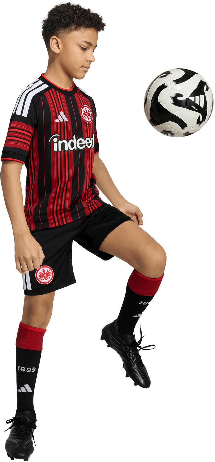 adidas adidas Eintracht Frankfurt 26-27 Heim Fu&szlig;ballshorts Kinder - black - 4 | SportScheck