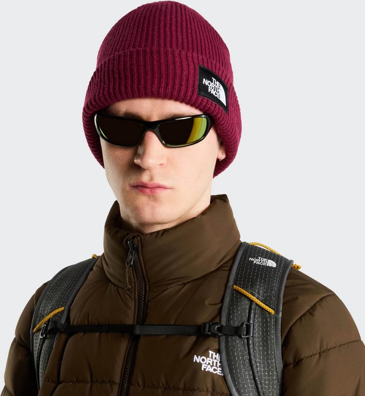 The North Face The North Face SALTY LINED Beanie - burgundy crush - 0 | SportScheck