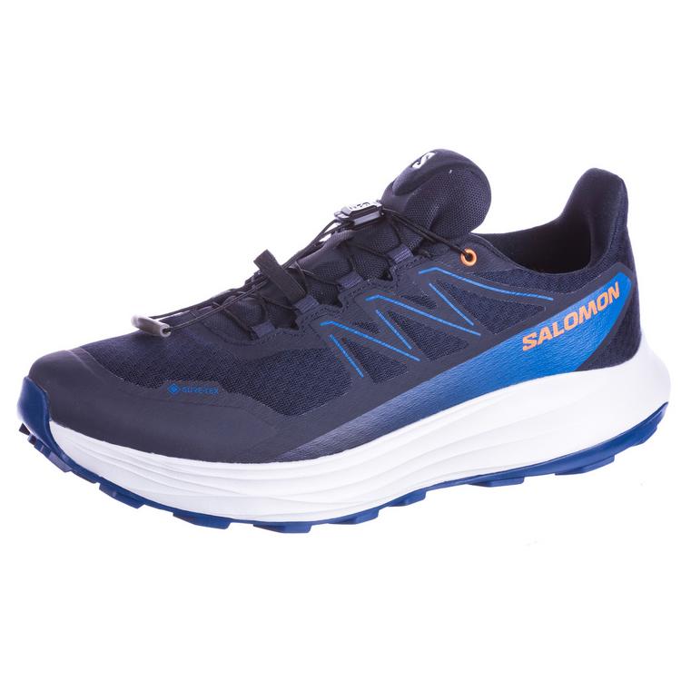 Salomon Salomon ALPHARIDE 2 GTX Laufschuhe Herren - dark navy-mykonos blue-dragon fire - 0 | SportScheck