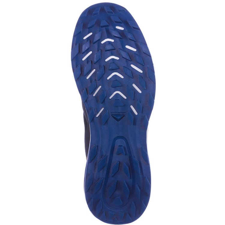 Salomon Salomon ALPHARIDE 2 GTX Laufschuhe Herren - dark navy-mykonos blue-dragon fire - 1 | SportScheck