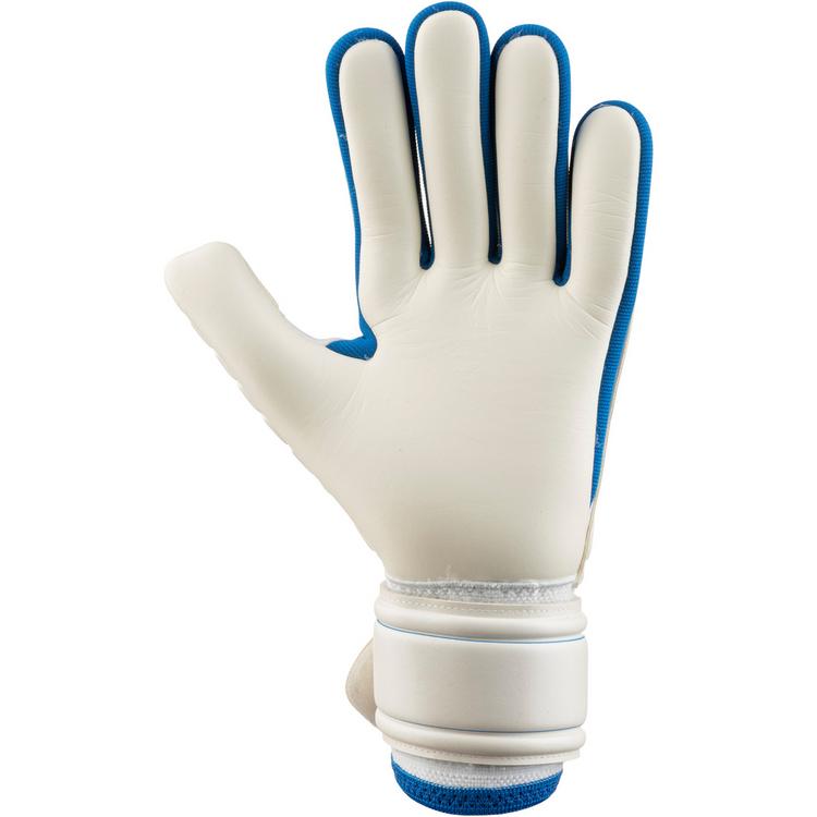 adidas adidas COPA GL LGE Torwarthandschuhe Herren - zeromt-lurabl-dkblue - 0 | SportScheck