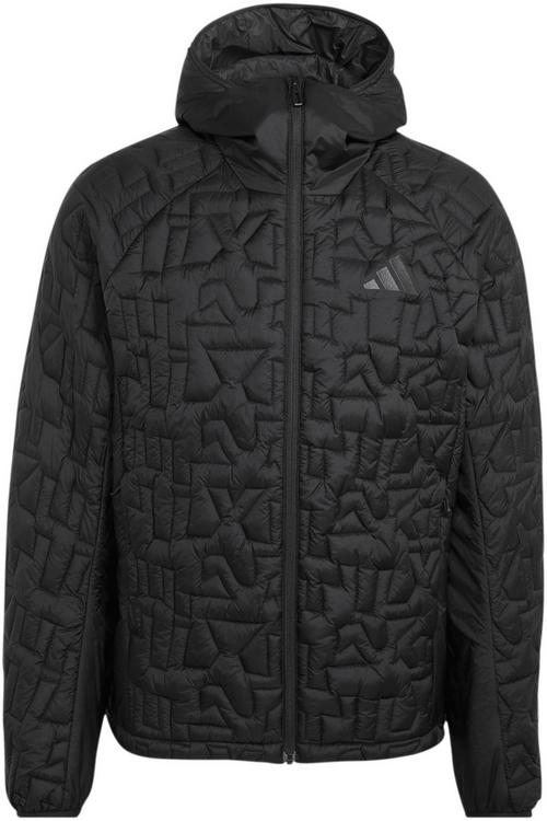 adidas TERREX XPERIOR Steppjacke Herren
