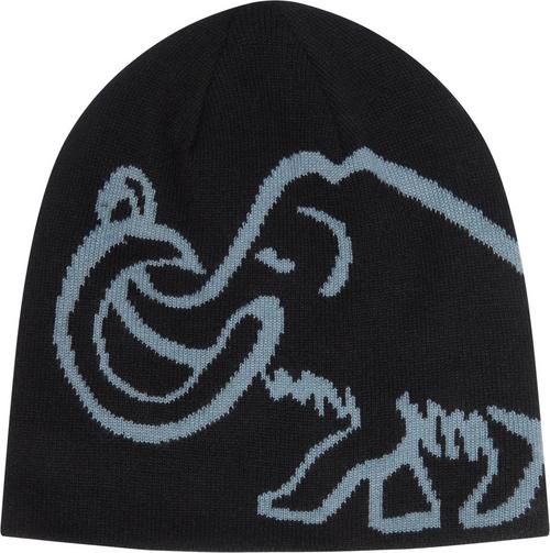 Mammut Logo Beanie