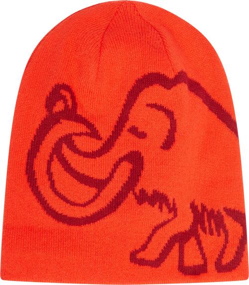 Mammut Logo Beanie