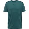 PUMA CLOUDSPUN Funktionsshirt Herren - herb garden