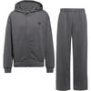 Arena Trainingsanzug Herren - dark gull gray