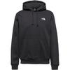 The North Face EVOLUTION SIMPLE DOME Hoodie Herren - tnf black