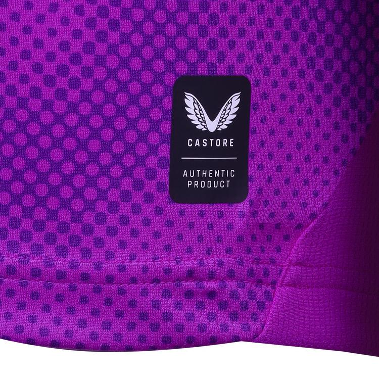 Castore Castore HERTHA BSC HOME GOALKEEPER Teamtrikot Herren - purple cactus flower hertha bsc - 0 | SportScheck