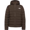 The North Face ACONCAGUA Steppjacke Herren - dark chestnut