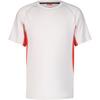 Nike ACG WILDSEE Funktionsshirt Herren - lt orewood brn-lt crimson-summit wh
