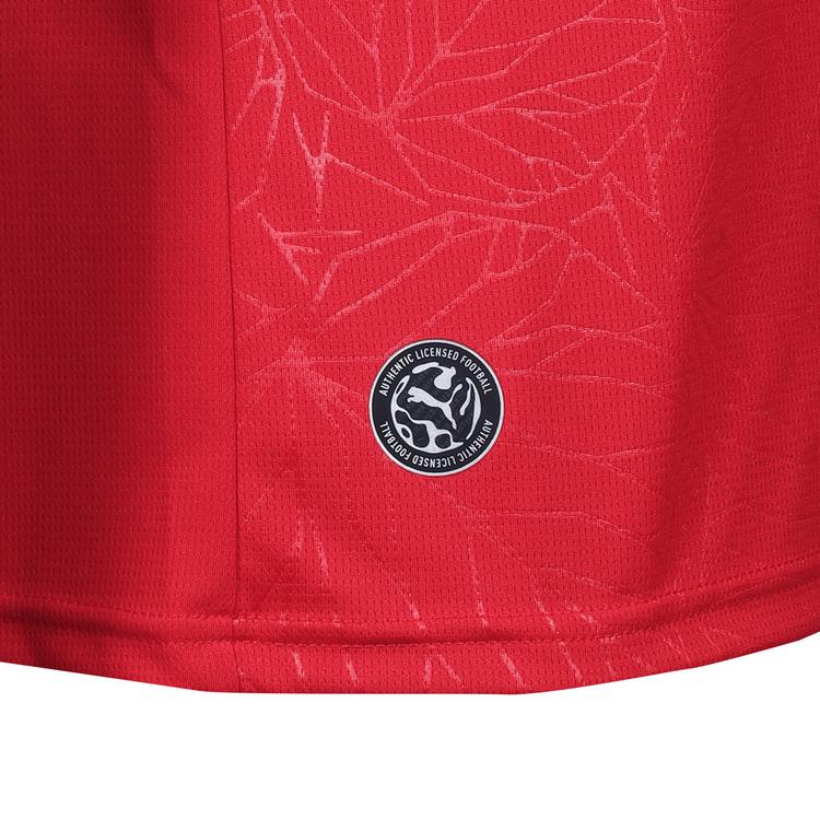 PUMA PUMA RB Leipzig 26-27 Ausw&auml;rts Teamtrikot Herren - for all time red-elektro blue - 0 | SportScheck