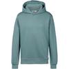 Ellesse Hoodie Herren - sagebrush green
