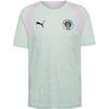 PUMA FC St. Pauli Training Trikot Herren - sage glow-pearl pink
