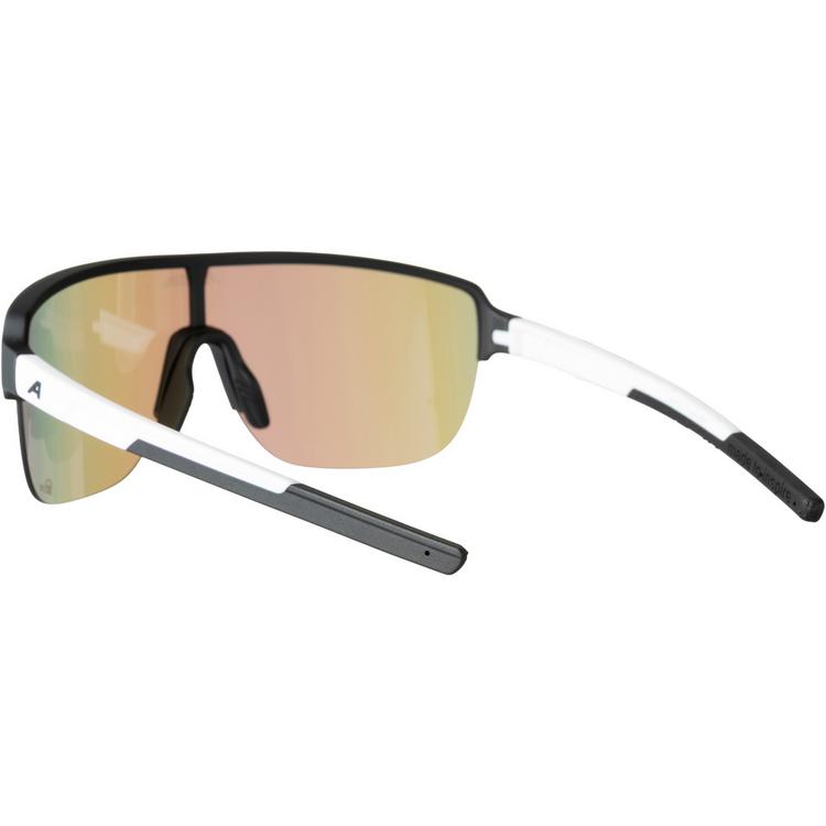 ALPINA ALPINA RAM 2.0 Brille - black white matt-green - 0 | SportScheck