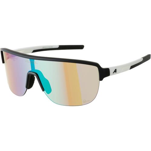 ALPINA RAM 2.0 Brille