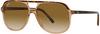 RAY-BAN BILL Brille - havana on transparent brown