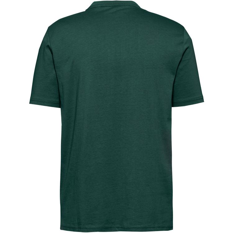 BEAR BEAR T-Shirt Herren - darkest spruce - 0 | SportScheck