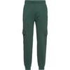 BEAR Cargohose Herren - darkest spruce