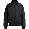 BEAR Steppjacke Herren - black