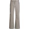 The North Face DESCENDIT Skihose Herren - stone slab