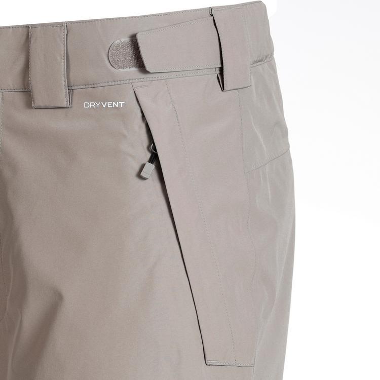 The North Face The North Face DESCENDIT Skihose Herren - stone slab - 1 | SportScheck