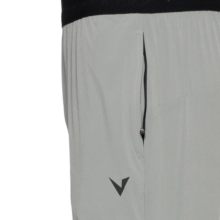 Virtus Virtus Michi Trainingshose Herren - griffin - 0 | SportScheck